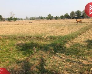 For Sale Land 5,066.8 sqm in Mueang Udon Thani, Udon Thani, Thailand