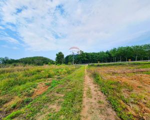 For Sale Land 31,444 sqm in Thoeng, Chiang Rai, Thailand