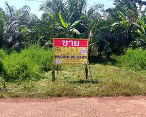 For Sale Land 6,064 sqm in Seka, Bueng Kan, Thailand