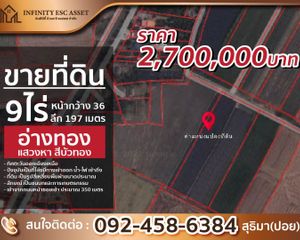 For Sale Land 14,400 sqm in Sawaeng Ha, Ang Thong, Thailand