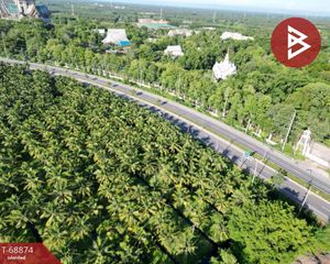 For Sale Land 182,808 sqm in Damnoen Saduak, Ratchaburi, Thailand
