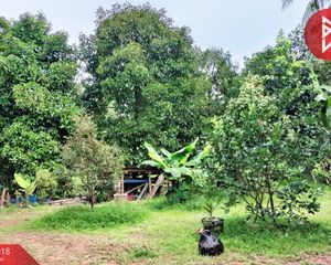 For Sale Land 552 sqm in Mueang Chumphon, Chumphon, Thailand