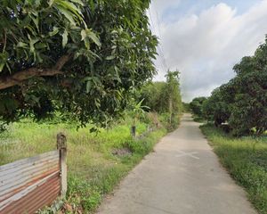For Sale Land 1,034.8 sqm in Mueang Rayong, Rayong, Thailand