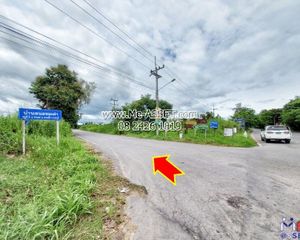 For Sale Land 16,000 sqm in Suan Phueng, Ratchaburi, Thailand