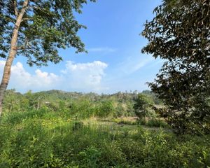 For Sale Land 6,034 sqm in Takua Thung, Phang Nga, Thailand