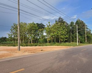 For Sale Land 5,120 sqm in Prachantakham, Prachin Buri, Thailand