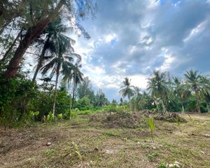 For Sale Land 8,073.2 sqm in Takua Pa, Phang Nga, Thailand
