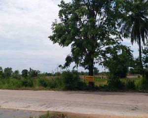 For Sale Land 1,904 sqm in Khlong Khlung, Kamphaeng Phet, Thailand