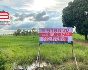 For Sale Land 88,948 sqm in Si Thep, Phetchabun, Thailand