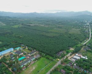 For Sale Land 164,696 sqm in Kapoe, Ranong, Thailand