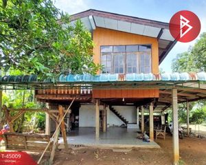 For Sale House 828 sqm in Wichian Buri, Phetchabun, Thailand