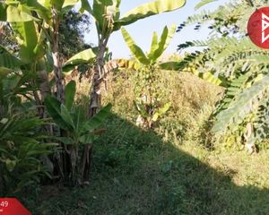For Sale Land 336.8 sqm in Mueang Lamphun, Lamphun, Thailand