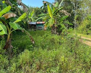 For Sale Land 242.8 sqm in Hat Yai, Songkhla, Thailand
