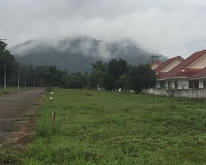 For Sale Land 82,516 sqm in Mueang Lamphun, Lamphun, Thailand