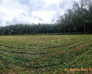 For Sale Land 3,200 sqm in Nikhom Phatthana, Rayong, Thailand