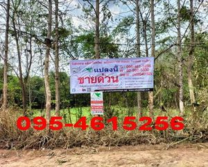 For Sale Land 11,599.2 sqm in Mueang Phetchabun, Phetchabun, Thailand
