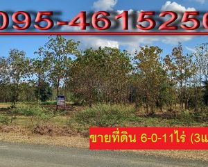 For Sale Land 9,644 sqm in Lom Sak, Phetchabun, Thailand