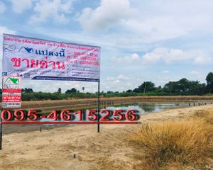 For Sale Land 49,864 sqm in Song Phi Nong, Suphan Buri, Thailand