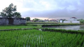 Tanah disewa dengan  di Kesiman Kertalangu, Bali