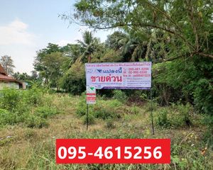 For Sale Land 2,400 sqm in Nong Wua So, Udon Thani, Thailand