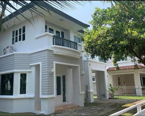 For Sale or Rent 3 Beds House in San Sai, Chiang Mai, Thailand