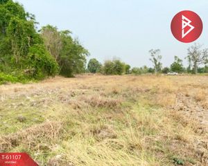 For Sale Land 8,981.2 sqm in Mueang Roi Et, Roi Et, Thailand