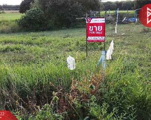 For Sale Land 66,854.8 sqm in Wang Thong, Phitsanulok, Thailand