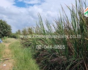 For Sale Land 21,327.2 sqm in Mueang Chachoengsao, Chachoengsao, Thailand