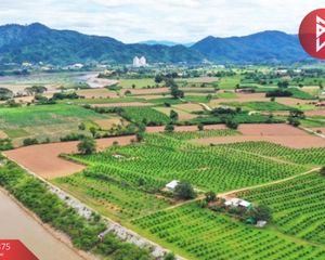 For Sale Land 147,852 sqm in Chiang Khong, Chiang Rai, Thailand