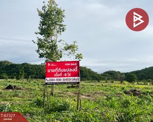 For Sale Land 12,800 sqm in Suan Phueng, Ratchaburi, Thailand