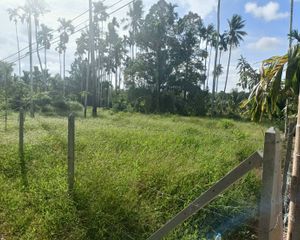 For Sale Land 2,320 sqm in Mueang Chumphon, Chumphon, Thailand