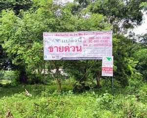 For Sale Land 3,200 sqm in Sung Noen, Nakhon Ratchasima, Thailand