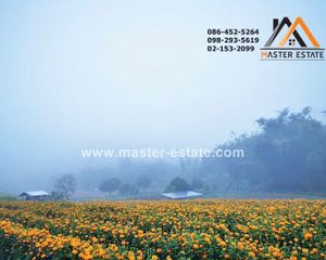 For Sale Land 7,420 sqm in Samoeng, Chiang Mai, Thailand