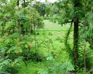 For Sale Land 28,748 sqm in Sam Ngao, Tak, Thailand