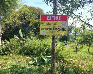 For Sale Land 13,520 sqm in Seka, Bueng Kan, Thailand