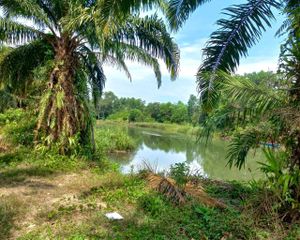 For Sale Land 15,026.8 sqm in Thai Mueang, Phang Nga, Thailand
