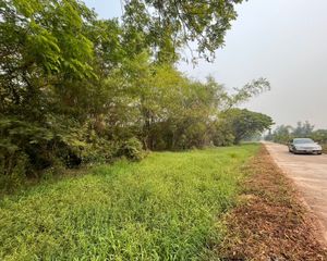 For Sale Land 12,193.2 sqm in Mueang Lamphun, Lamphun, Thailand