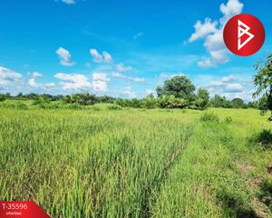 For Sale Land 29,460 sqm in Seka, Bueng Kan, Thailand