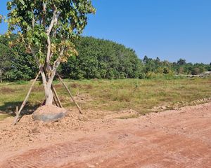 For Sale Land 6,400 sqm in Mueang Chiang Rai, Chiang Rai, Thailand