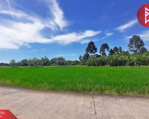 For Sale Land 3,056 sqm in Phayuha Khiri, Nakhon Sawan, Thailand