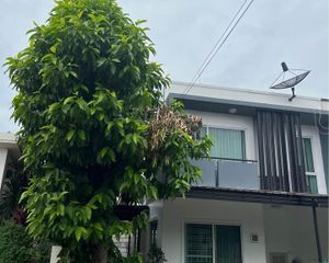 For Rent 1 Bed Townhouse in Bang Kapi, Bangkok, Thailand