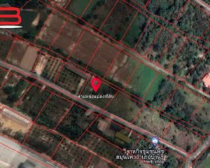 For Sale Land 1,618 sqm in Mueang Lamphun, Lamphun, Thailand