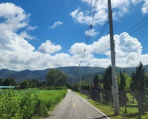For Sale Land 8,280 sqm in Mae On, Chiang Mai, Thailand