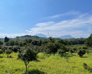 For Sale Land 62,400 sqm in Chiang Dao, Chiang Mai, Thailand
