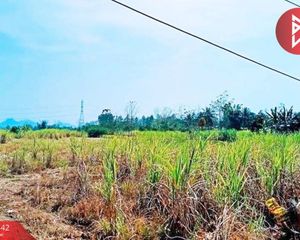 For Sale Land 5,528 sqm in Mueang Loei, Loei, Thailand