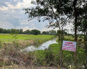 For Sale Land 4,800 sqm in Nong Khae, Saraburi, Thailand