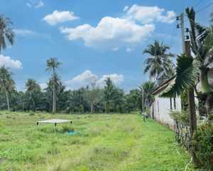 For Sale Land 8,952 sqm in Takua Thung, Phang Nga, Thailand