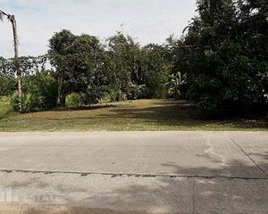For Sale Land 1,172 sqm in Mueang Rayong, Rayong, Thailand