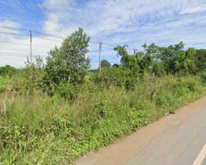 For Sale Land 17,404 sqm in Kao Liao, Nakhon Sawan, Thailand