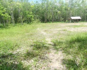 For Sale Land 280 sqm in Hat Yai, Songkhla, Thailand